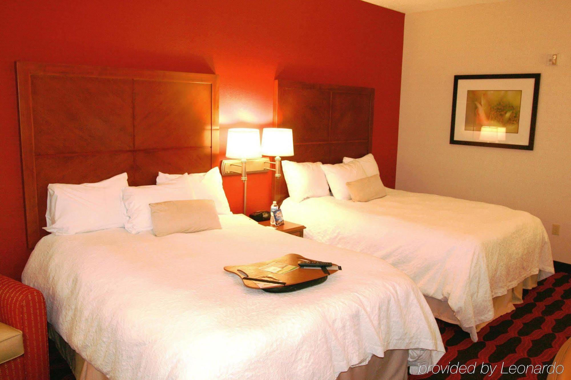 Hampton Inn & Suites East Lansing Okemos Room photo